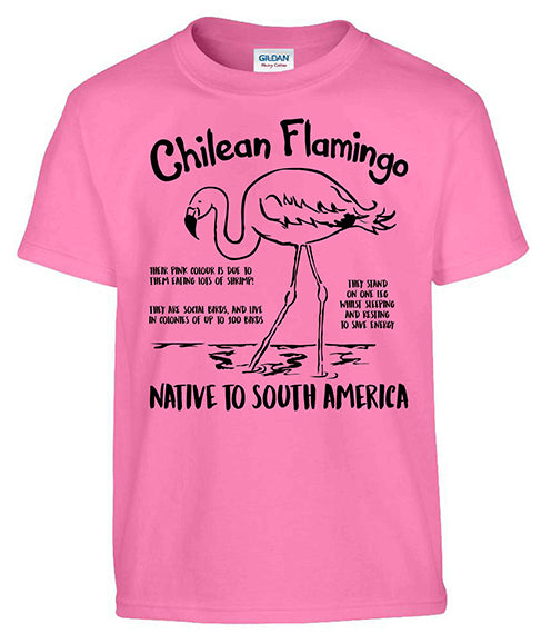 Chilean Flamingo T-shirt (CWP)