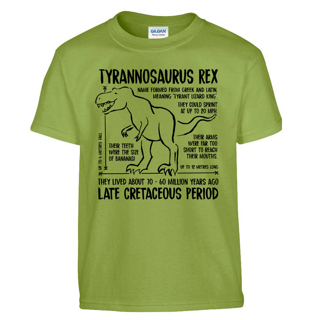 'Dino Facts' T-shirt