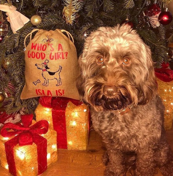 Personalised Doggy Santa Sack